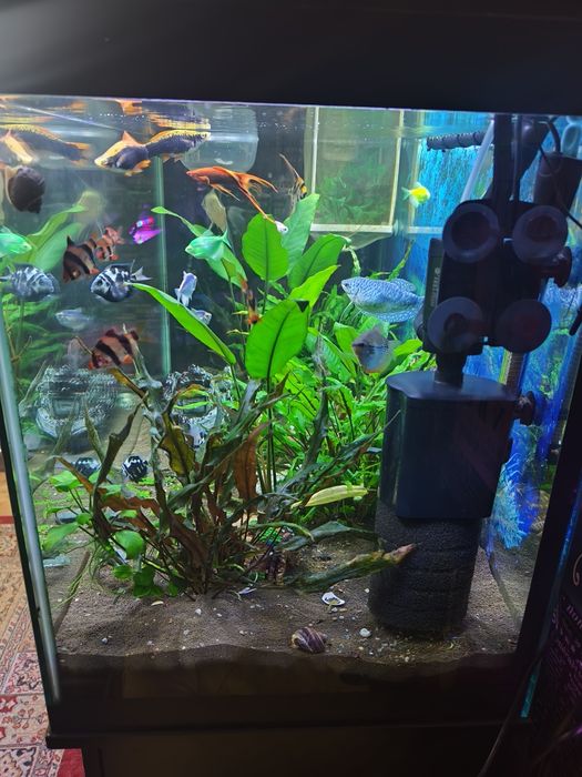 Аквариум 200 литров