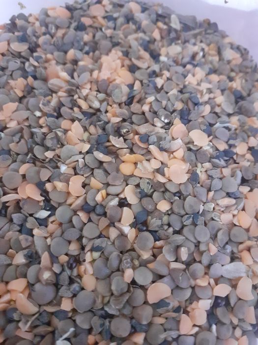 Отходы Отходы  отруби зерноотходы