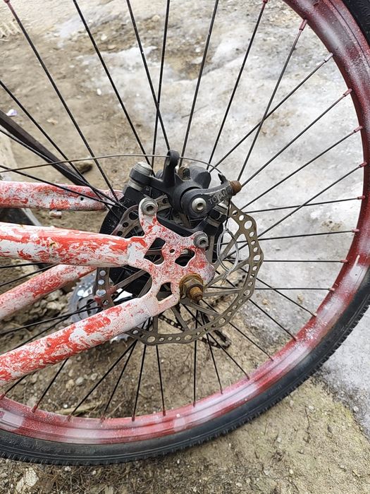 Велик покрашенный