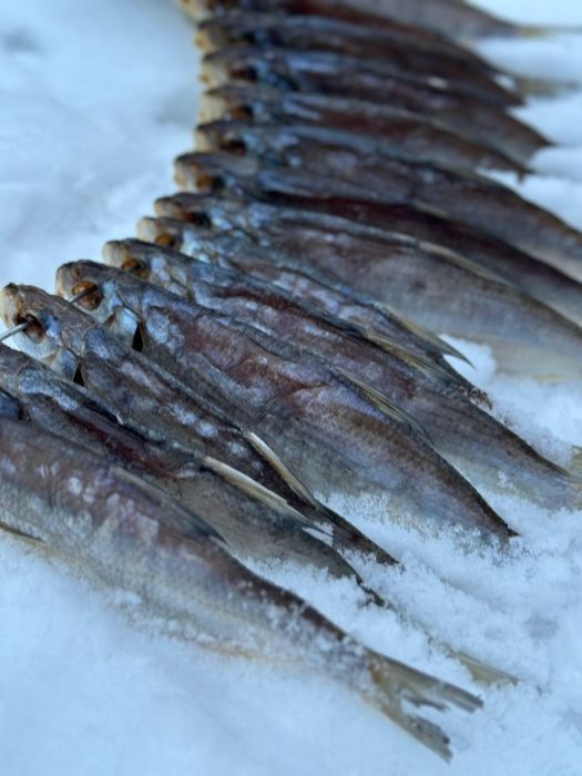 Сушеный рыбец 2026