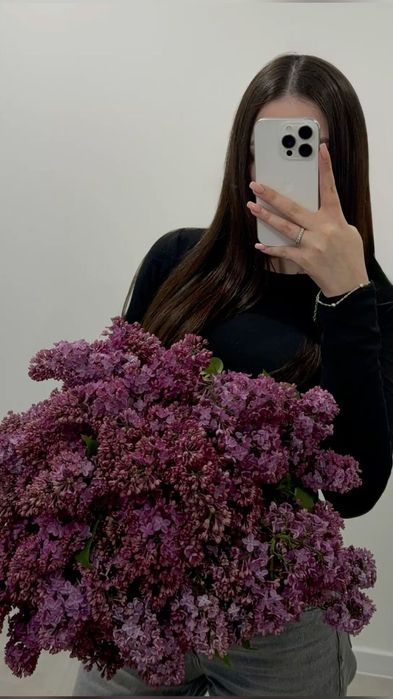 Сирень Астана в наличии