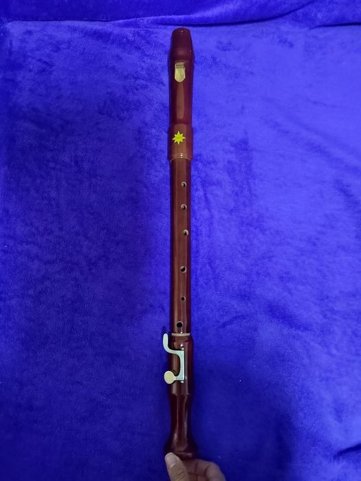 Vând Fluier-flaut urgent