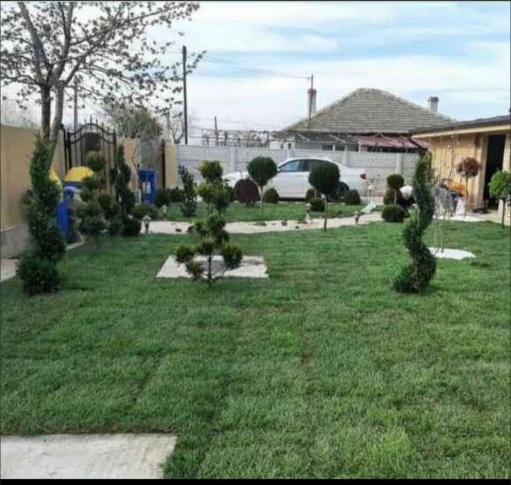 Rulouri de gazon transport și montaj