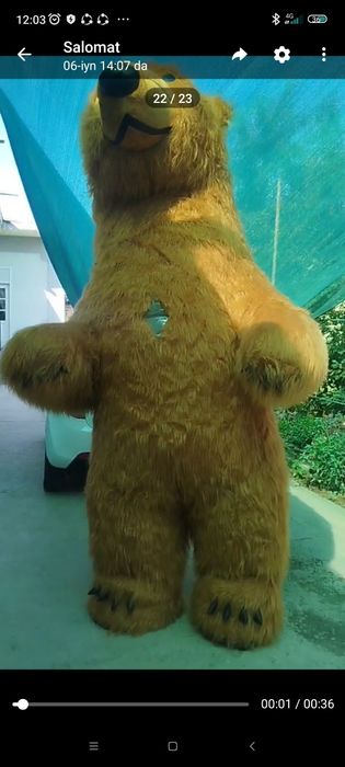 Ayiqlar 3.5m va 2.5m  yoʻlbars 2m va quyon2.5m xam bor yangi