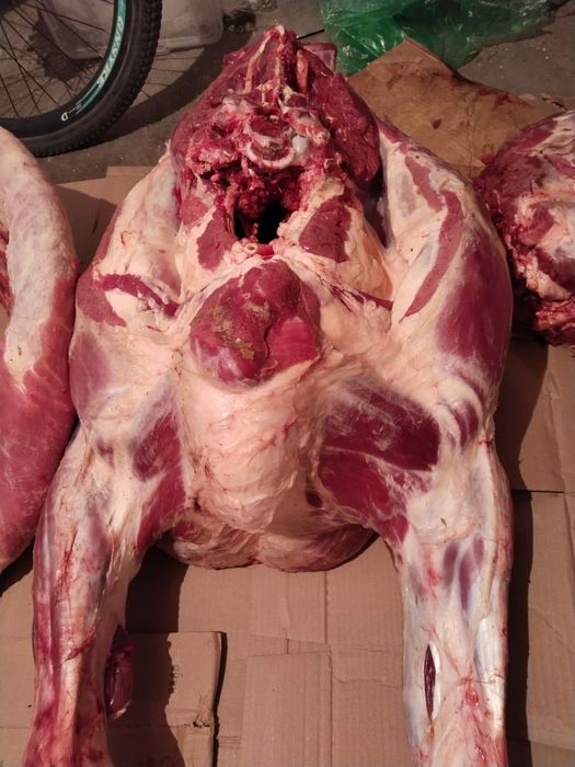 Тайынша ети сатылады