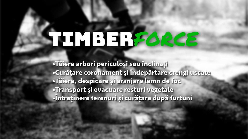 Tăiere arbori și pregătire lemn de foc cu alpiniști profesioniști