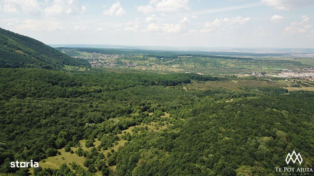 Livadă de Nuci, 11 Hectare comasate, Cisnădie, Jud. Sibiu
