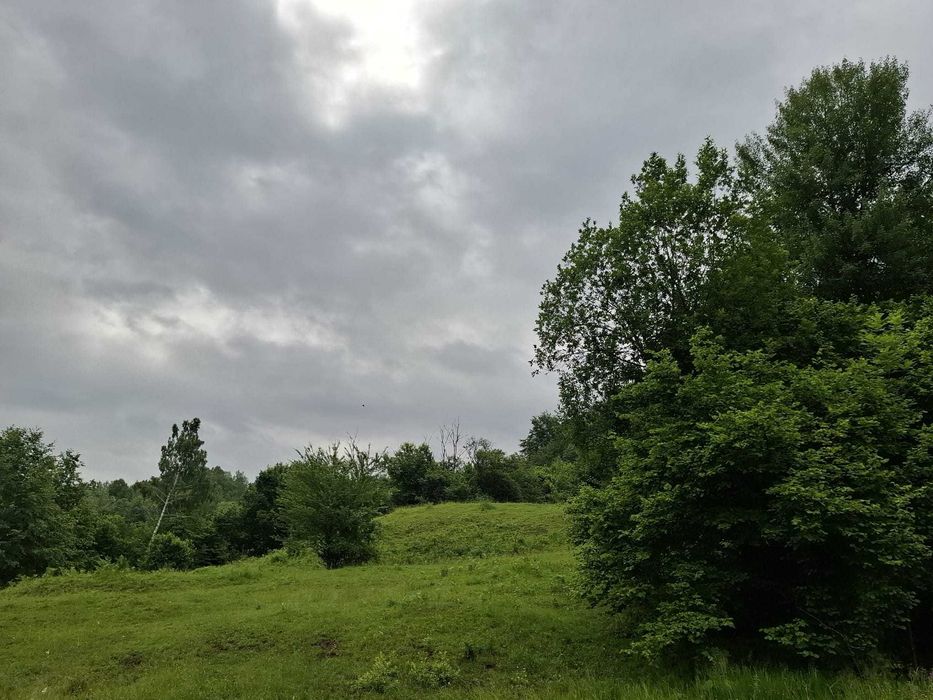 Teren extravilan, 11800 m2, comuna Agas, sat Preluci, jud Bacau