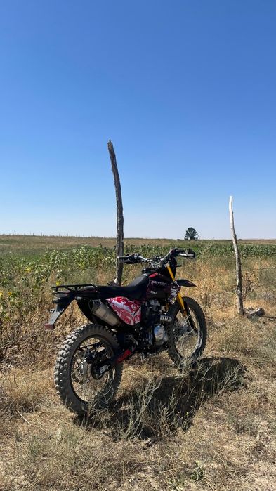 Алмотор 250 куб цепной