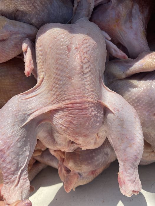 Куры на бульон