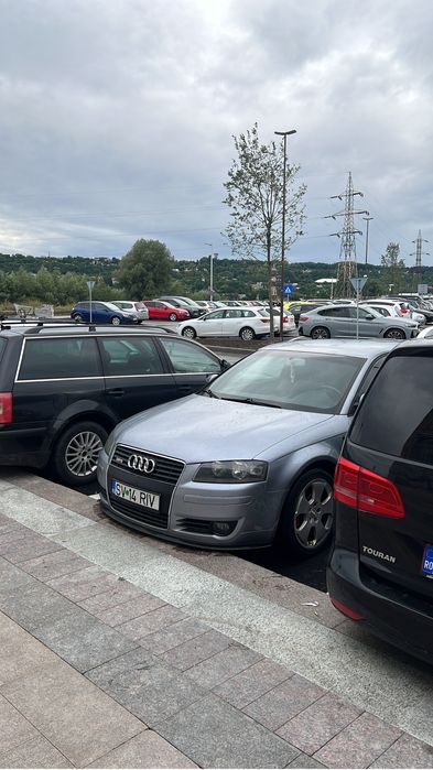 Audi A 3 8P 2.0 TDI 140