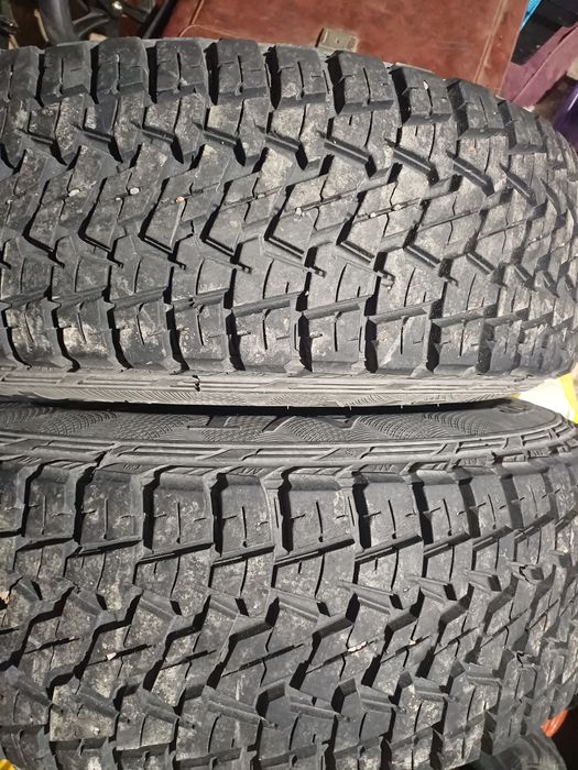 Шины всесезонные