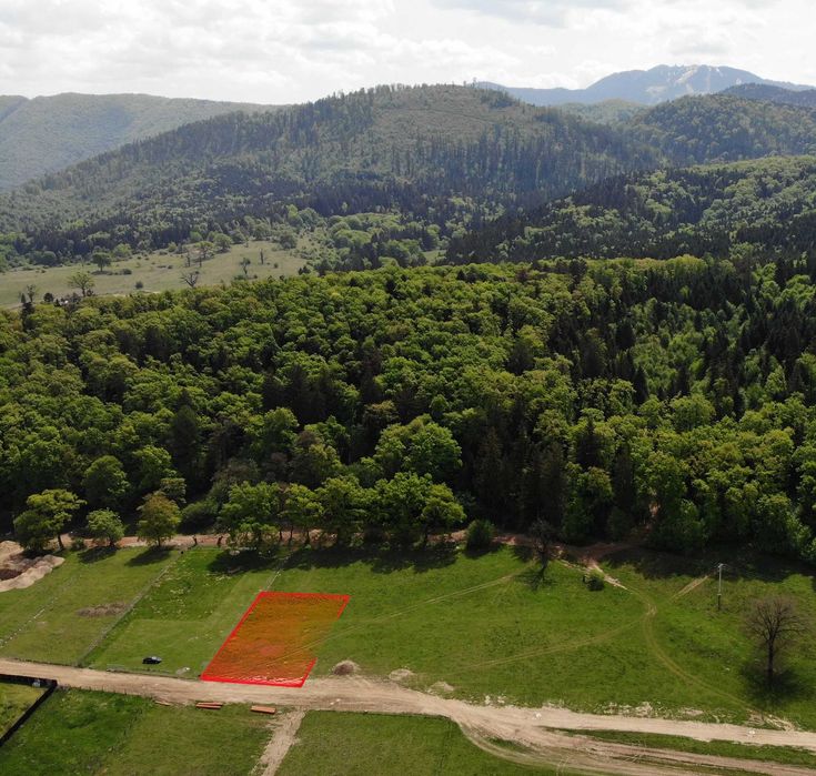 Teren intravilan la marginea padurii din Cristian, Brasov