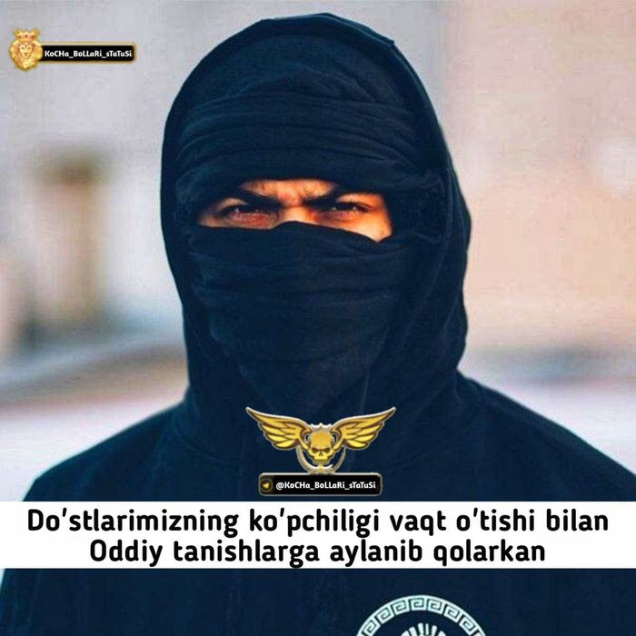 stihl бензопила 3 года гарантия