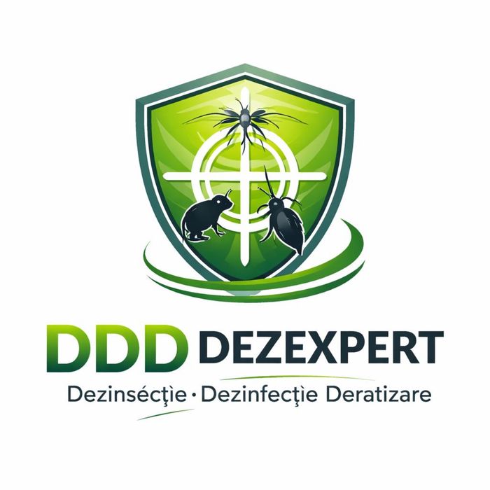 Servicii profesionale DDD