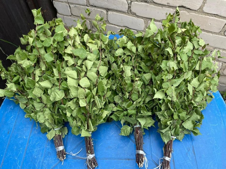 Берёзовые веники