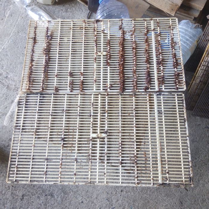 Продам гаримановские решетки для пчел