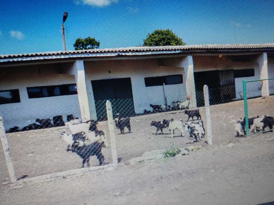 Продава се Промишлена сграда в Кърджали, Възрожденци - 13075 кв.м за 7 €/кв.м - Снимка #1