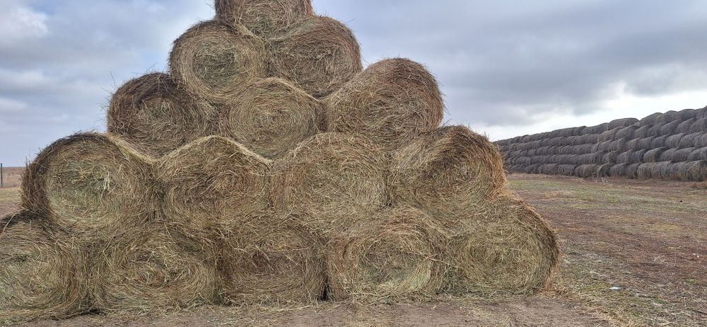 Шоп сатам,коктик