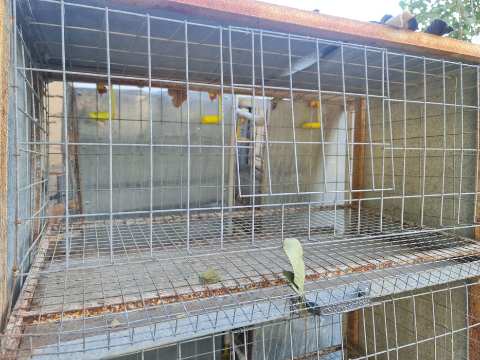 Клетка для птицы