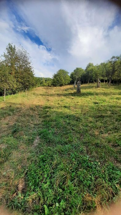 Casa si gradina de vanzare