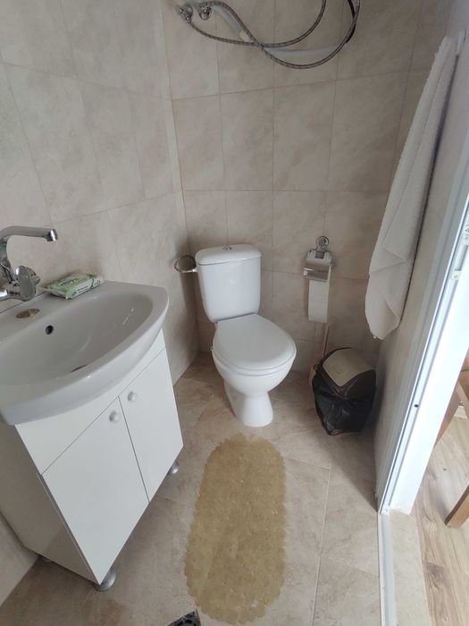 Продава се Къща в с. Ръжево Конаре, Област Пловдив - 100 кв.м за 780 €/кв.м - Снимка #4