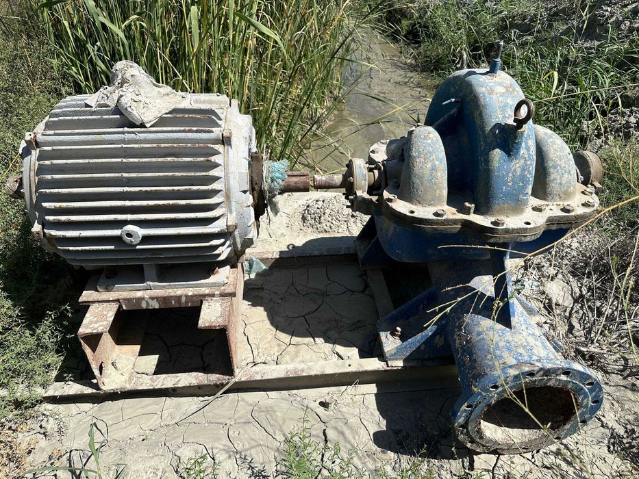 Generator korichatkalar