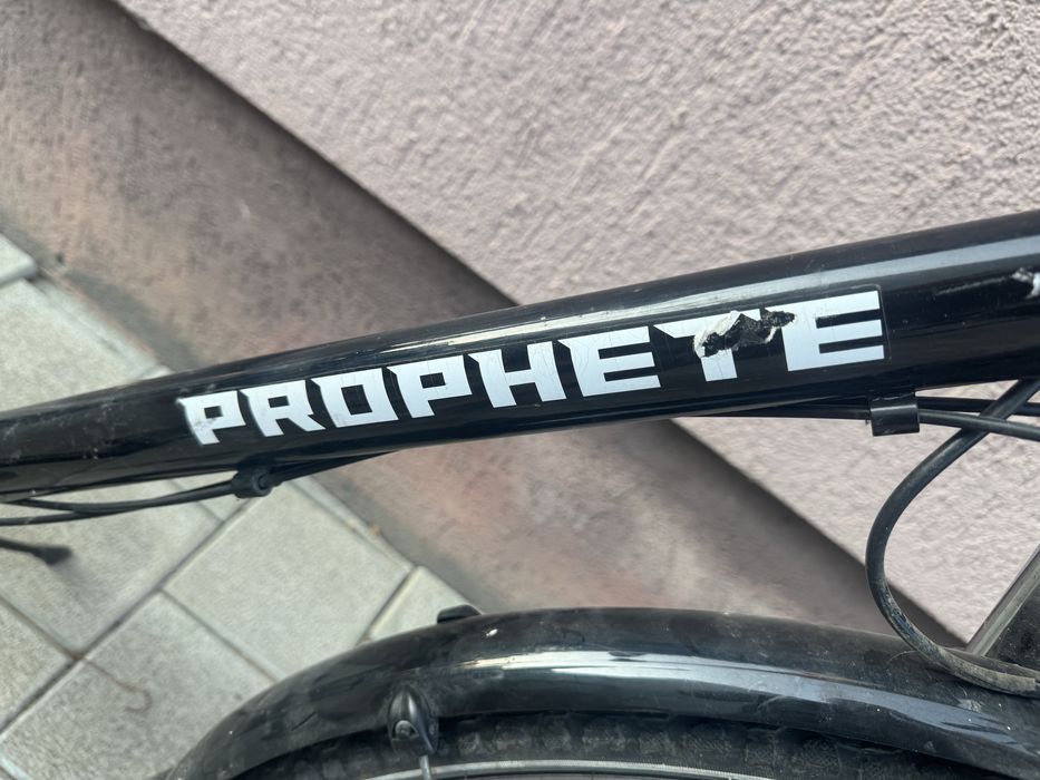 Bicicleta barbateasca