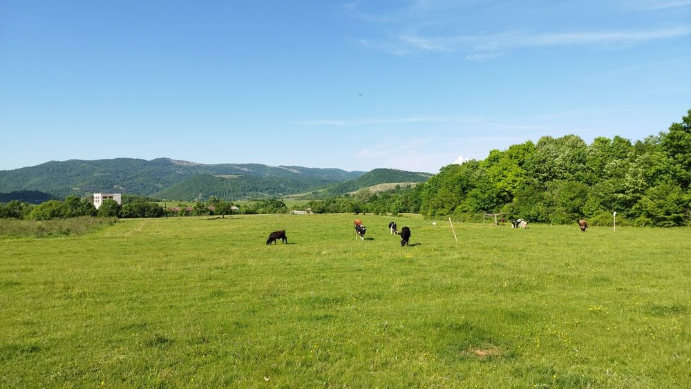 Продава се Земеделски имот в Елена -  кв.м за 2232 €/дка - Снимка #5