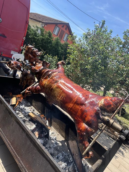 La Protap , porc, berbecut , vitel, taur, pasari!