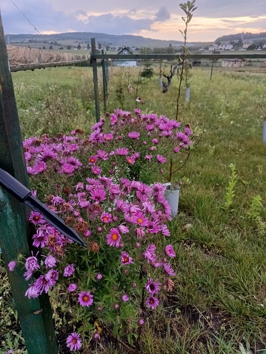 Teren în Săliștea Nouă - Com Baciu 2458mp