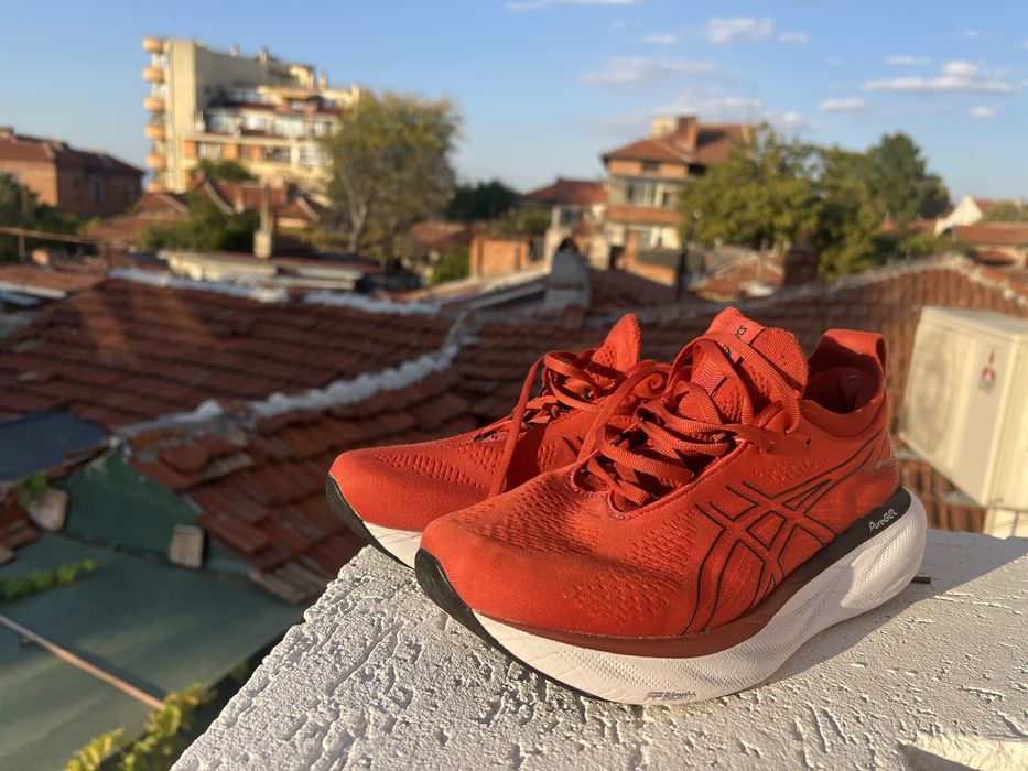 Asics Gel Nimbus 25 42.5