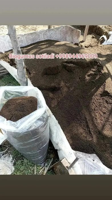 Biogumus o'simliklar uchun