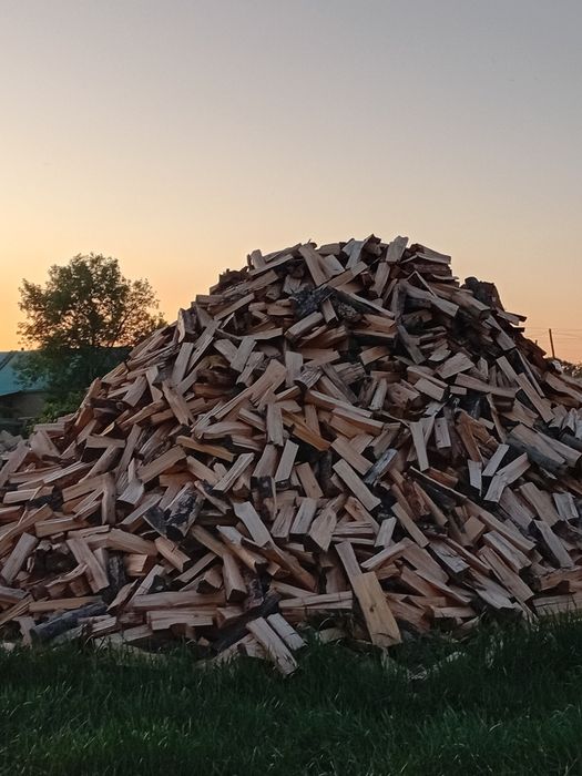 Продам дрова столбы