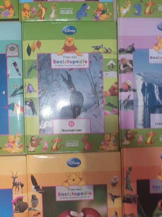 Colectia disney noua