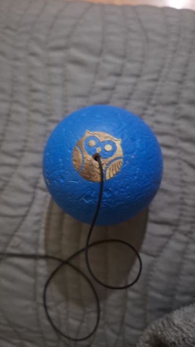 Dama karo golden Owl