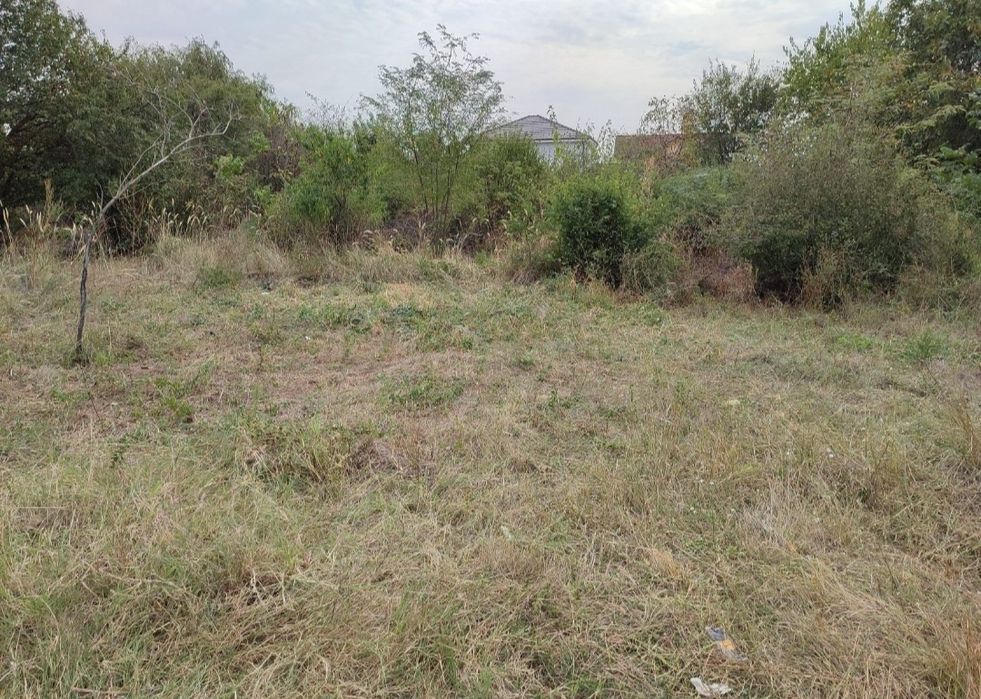 Defrișare/curățare terenuri