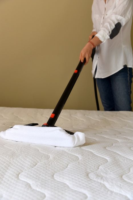 Професионална дезинфекцираща парочистачка Evolution