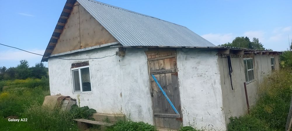 Уй сатылады бобровка ауылы