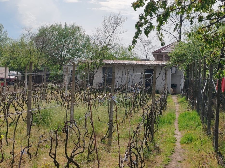 Vand , inchieiez casa gropeni