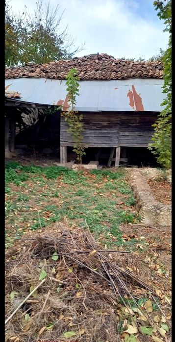 Продава се Парцел в с. Генерал Колево, Област Варна - 1500 кв.м за 7 €/кв.м - Снимка #3