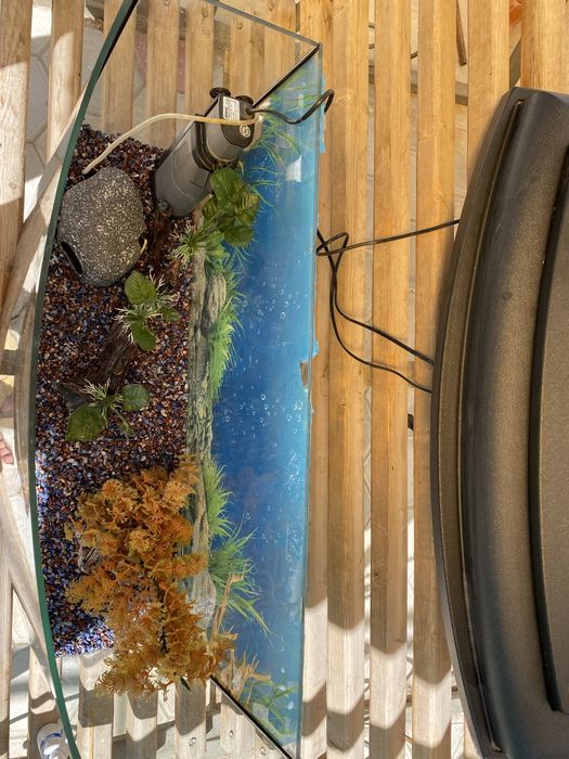 Аквариюм с подсветкой