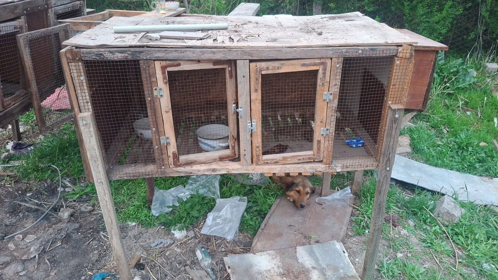 Продам кроличьи клетки.