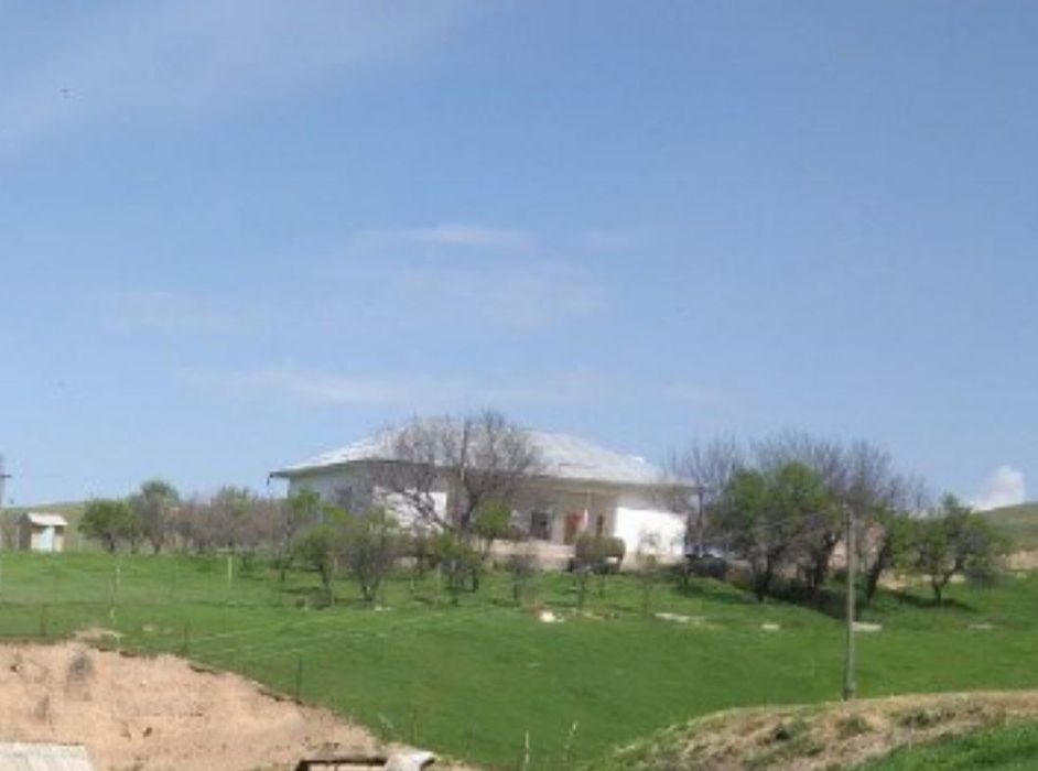 Kadastri bor 20 soʻtik