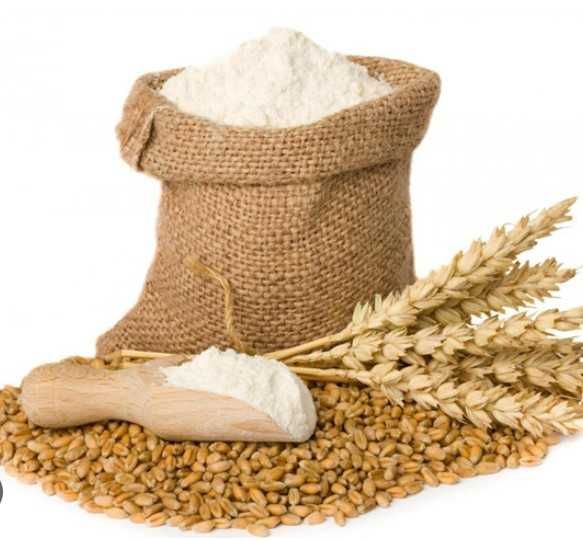 Vand grau sau faina alba pt paine