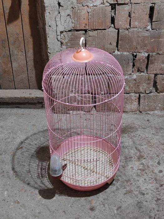 продавам клетки за Папагал бялата  другите