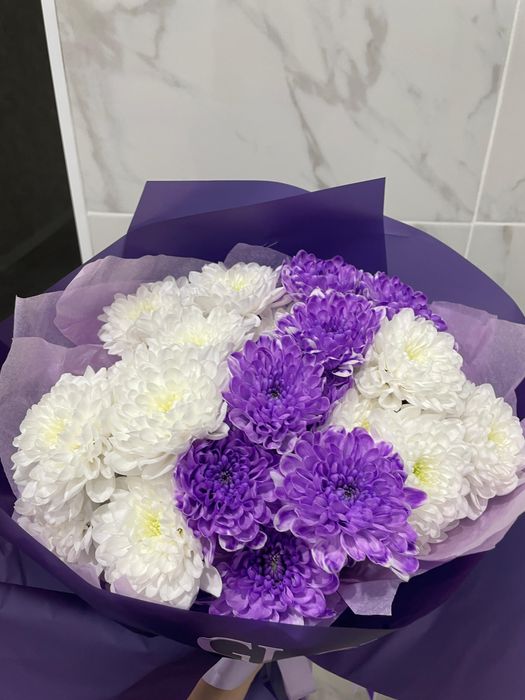 продам цветы срочно торг есть