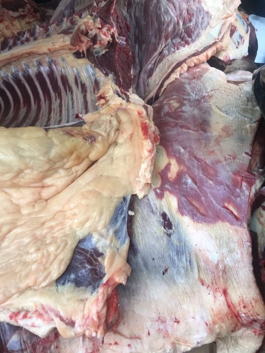 Продам мясо конины в любом количистве