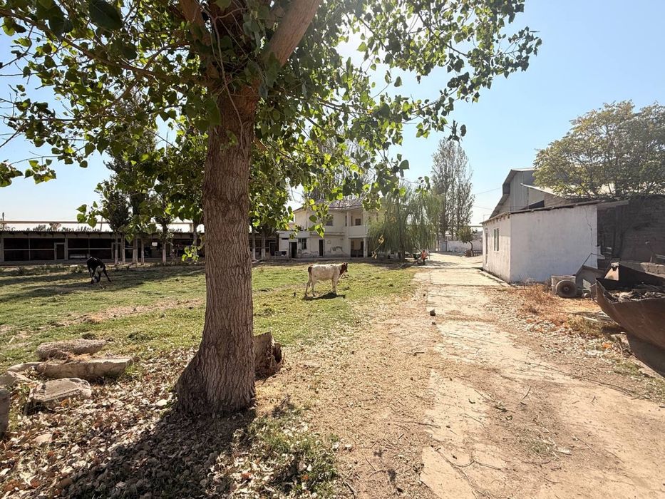 Продается земля, недалеко от города Чирчика, недоезжая платины