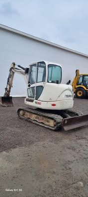 Vând oi Dorper rasă pura,